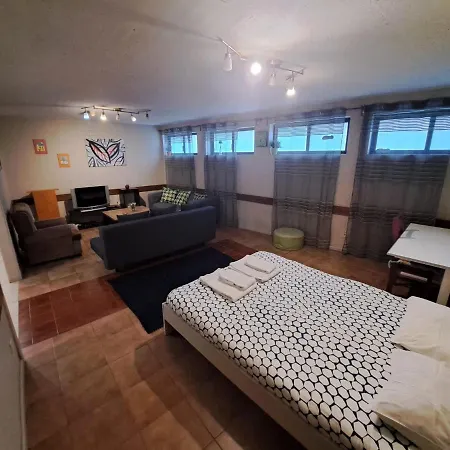 Spacious Economic Center Flat