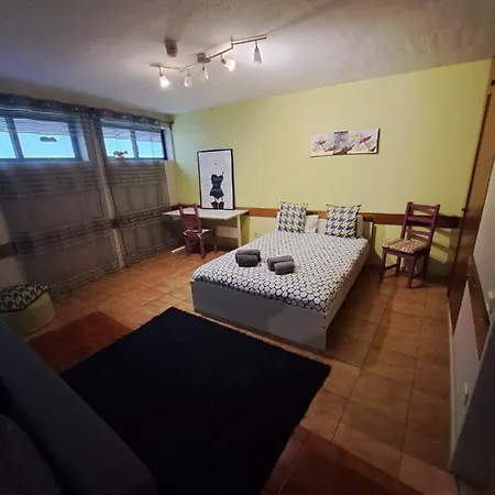 Spacious Economic Center Flat Apartment Porto