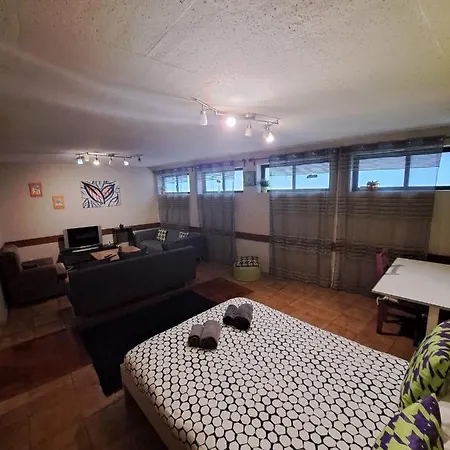 Spacious Economic Center Flat Apartment