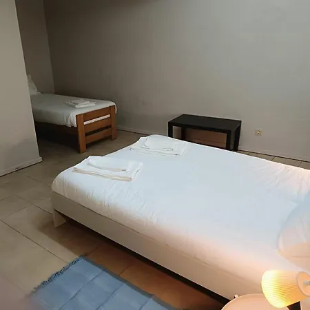 Spacious Economic Center Flat Apartment