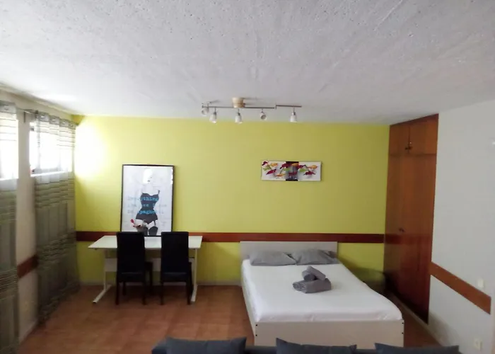 Spacious Economic Center Flat * Oporto