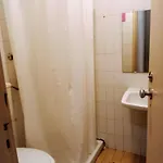 Spacious Economic Center Flat