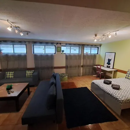 Spacious Economic Center Flat * פורטו