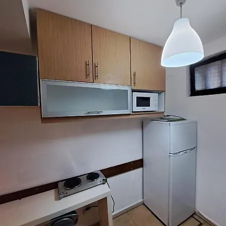 Spacious Economic Center Flat *