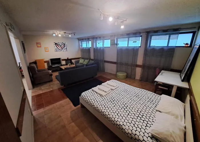 Spacious Economic Center Flat